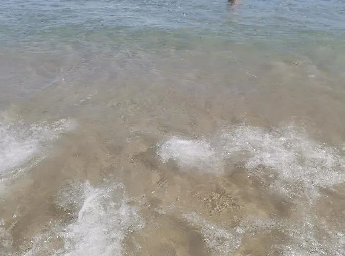 La Zenia Molino Blanco