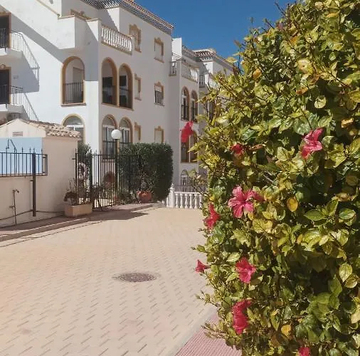 La Zenia Molino Blanco Alicante